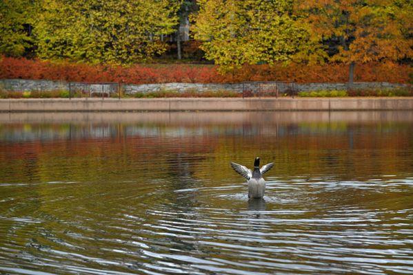 Centennial Lakes Park