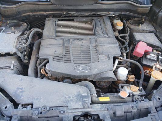 Murdock Hyundai of Logan