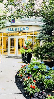 Halstead Burlington