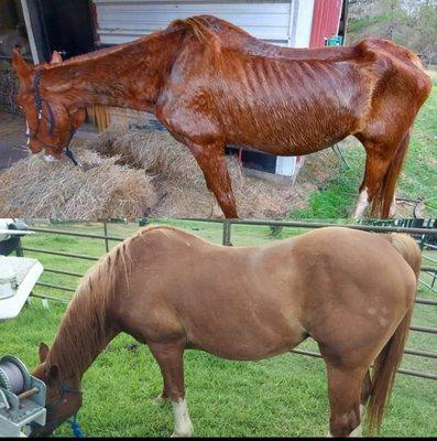 Good Food For The Soul