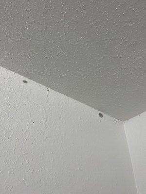 Boca Springs Apartments