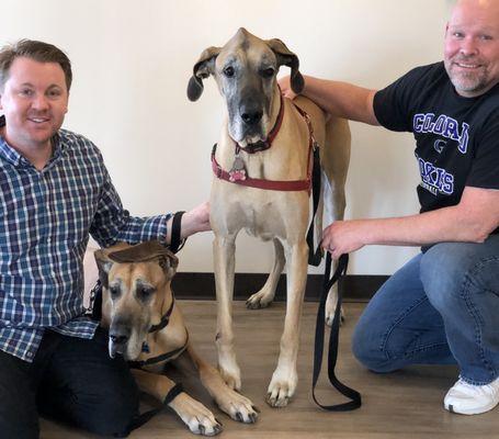 BluePearl Pet Hospital