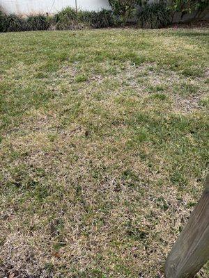 Creative Landscaping & Lawn Maintenance