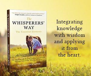 Available on Amazon or for pickup at Phoenix Ranch