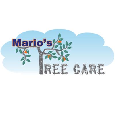Marios Tree Care
