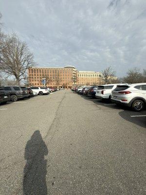 Virginia Physicians For Women