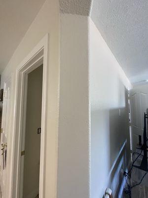 Arch hallway transition looks clean and crisp!