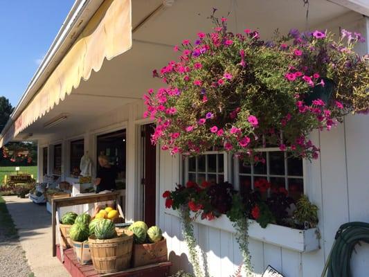 Meisner's Farm Stand