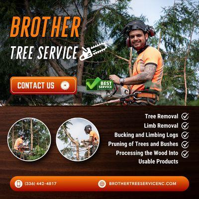 From safe tree cutting to stump grinding and total yard cleanups -- Brother Tree Service delivers professional results every time.