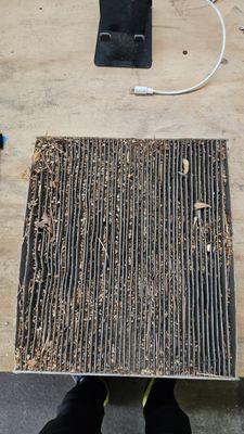 Nasty Cabin Air Filter