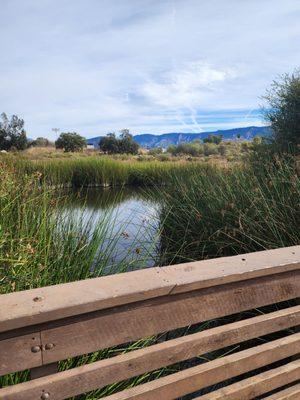 Ojai Meadows Preserve Trail