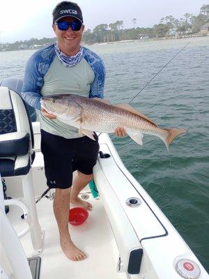 Seas The Day Destiny