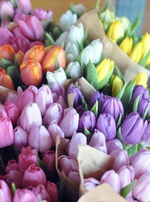 The Prestigious Rose