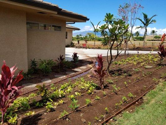 New home installation in Lanikeha up in Kaanapali Golf Estates