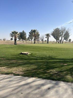Reeves County Municipal Golf Course