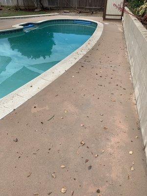 Tadeo's Gardening Service