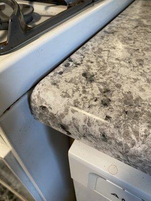 Fresh Perspective Renovation and Remodel