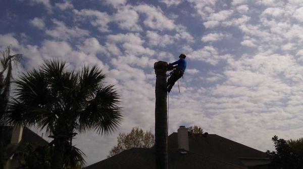 Mr. Rodriguez Lawn Services