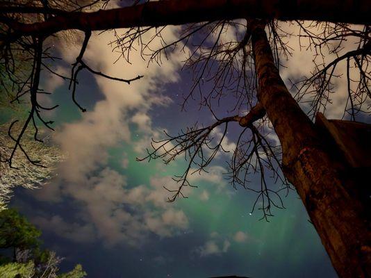 Don't forget to look up, Northern Lights May 2024