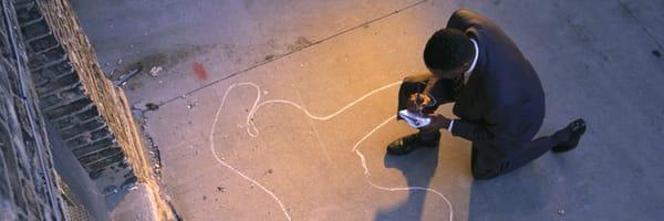 Pipkin Detective Agency