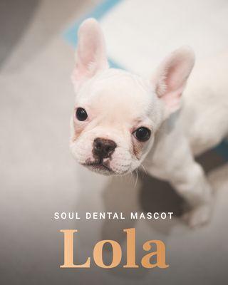 Soul Dental West