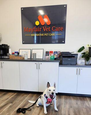 Mayfair Vet Care