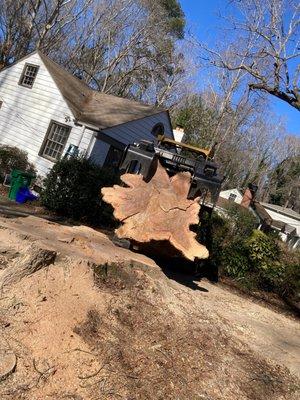 Great Price Tree Service