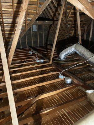 PestPoint Exterminator