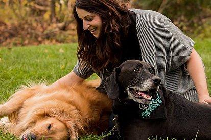 Pawlished Dog Training