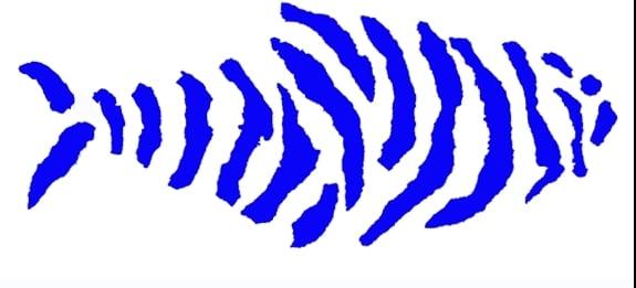 Tigerfish Transcription