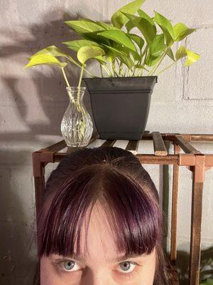 Ladd's Garden Center