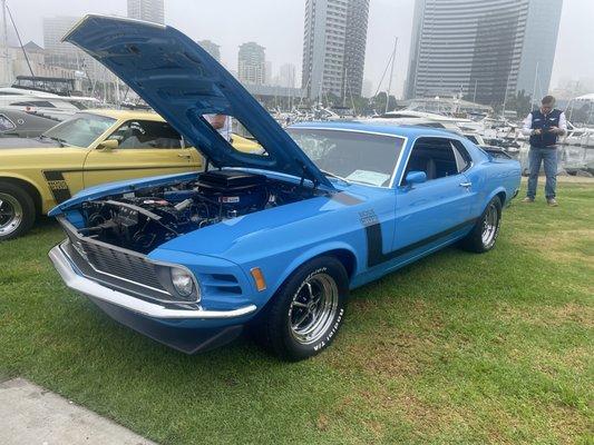 1970 Ford 302 Boss - Complete Paint Job. 1st place winner at the Embarcadero Show