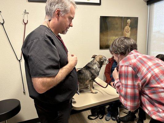 Golden Paws Animal Hospital