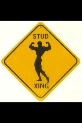 2 Young Studs Moving