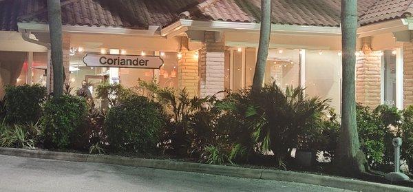 Coriander