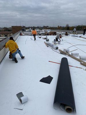 Black Forest Construction