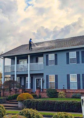 Clark County Roof Cleaning
