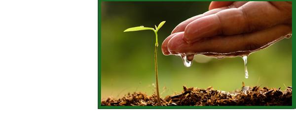 Clear Fork Materials