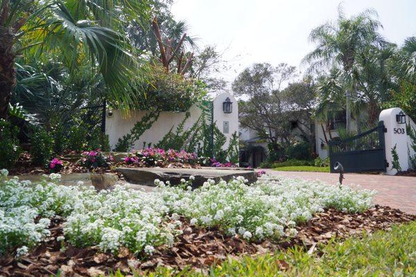 Tropic Greenery