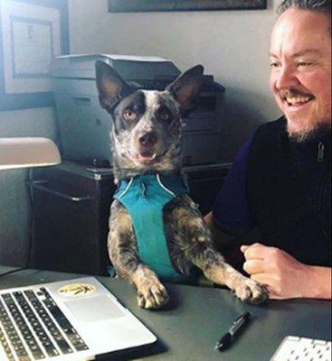 Doc Morrison - Medical Marijuana Evaluations