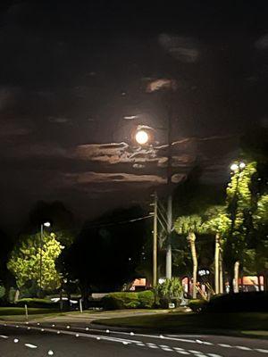 A full moon which I sometimes wonder causes insomnia to me and even others.