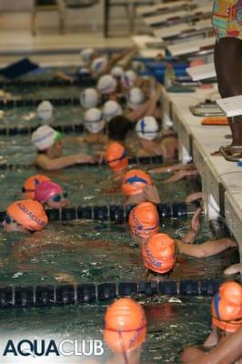AQUA Swim Teams