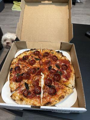 NEW! Lil Bro Bee Sting