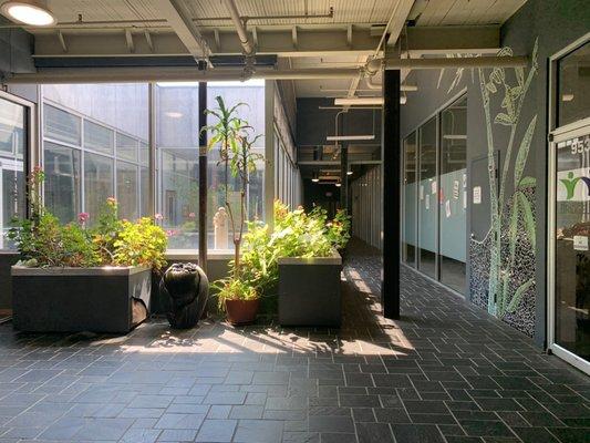 Charlottesville Skin and Lash Studio