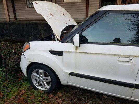 Proformance Complete Auto Care