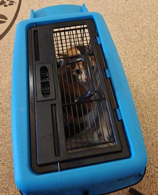 Kanab Veterinary Hospital