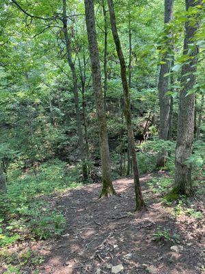 Turkey run Overlook Trail