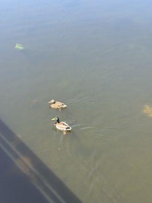 Mary Herrington Park