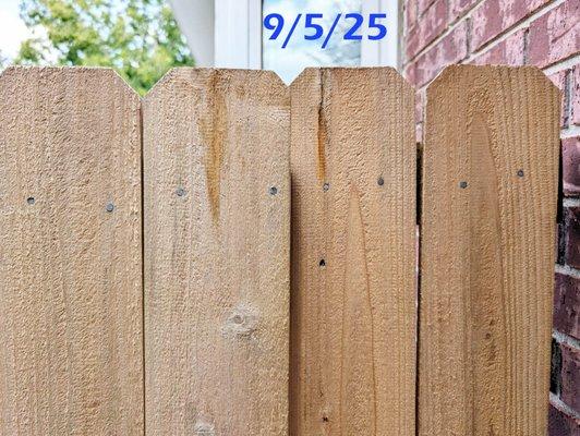 Coastal Fence & Irrigation