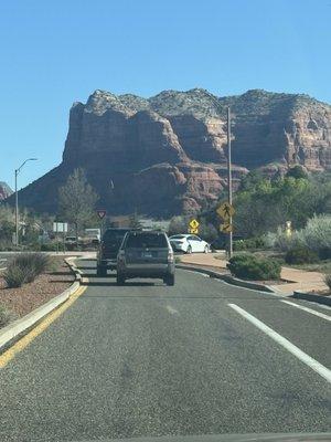 Jesselynn the Oracle